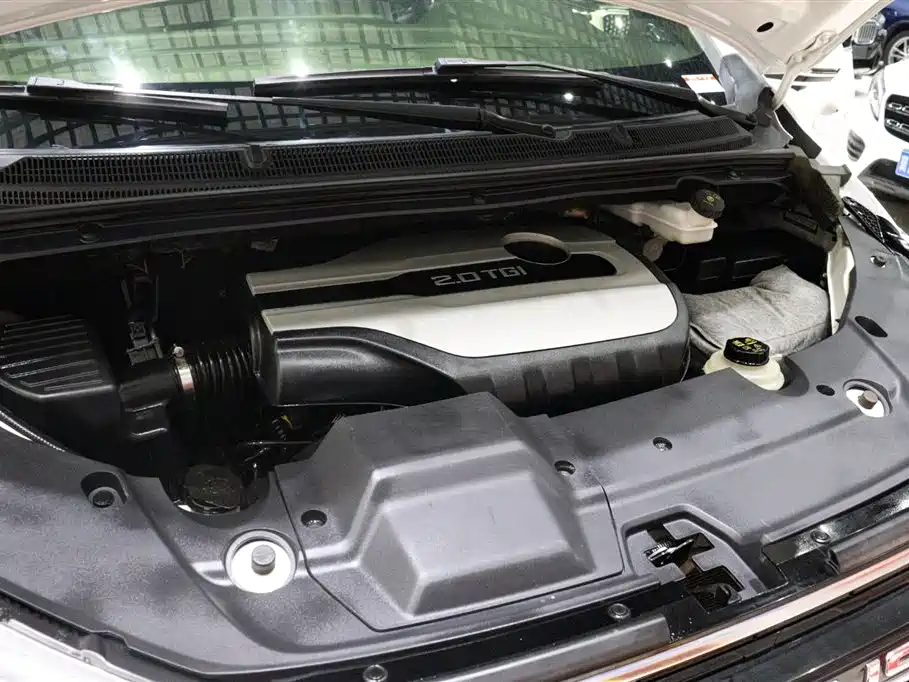 SAIC Maxus Maxus G20 2021 PLUS 2.0T Gasoline Automatic Luxury Edition фото 33