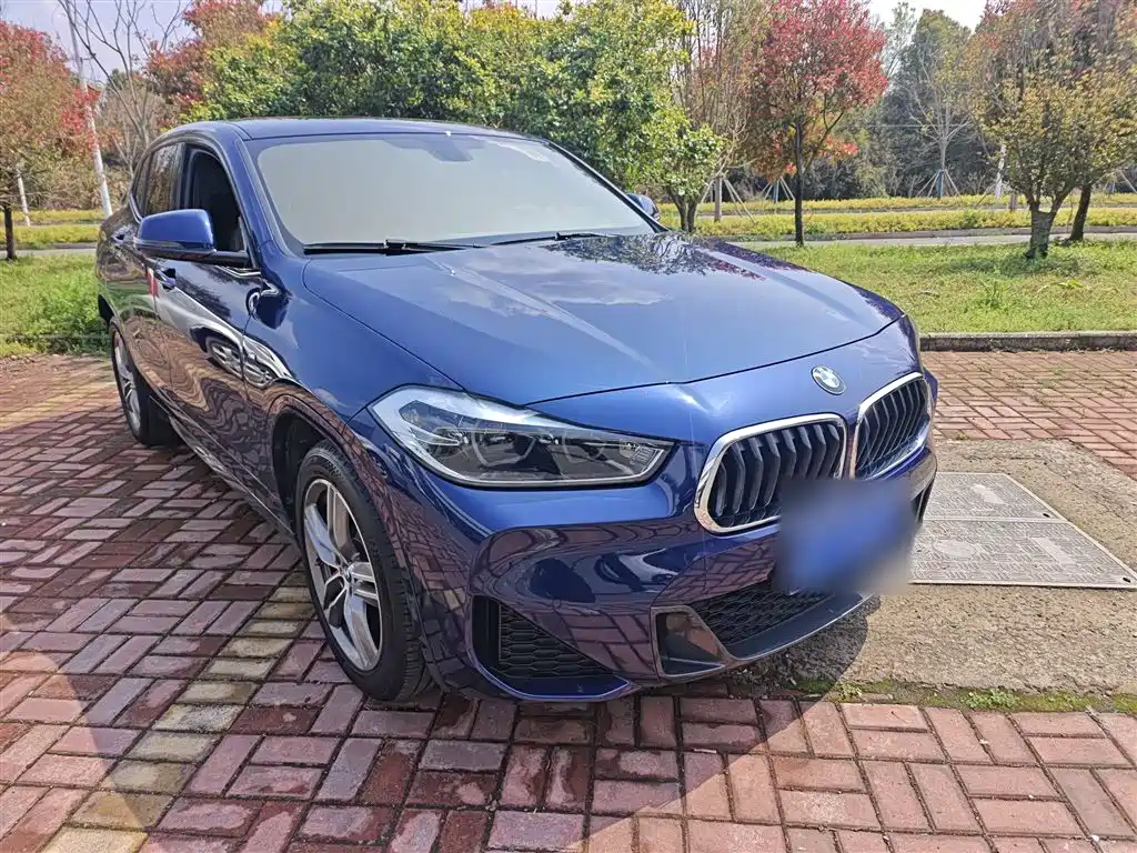 BMW X2 2020 sDrive25i Leading M Sport Package фото 4