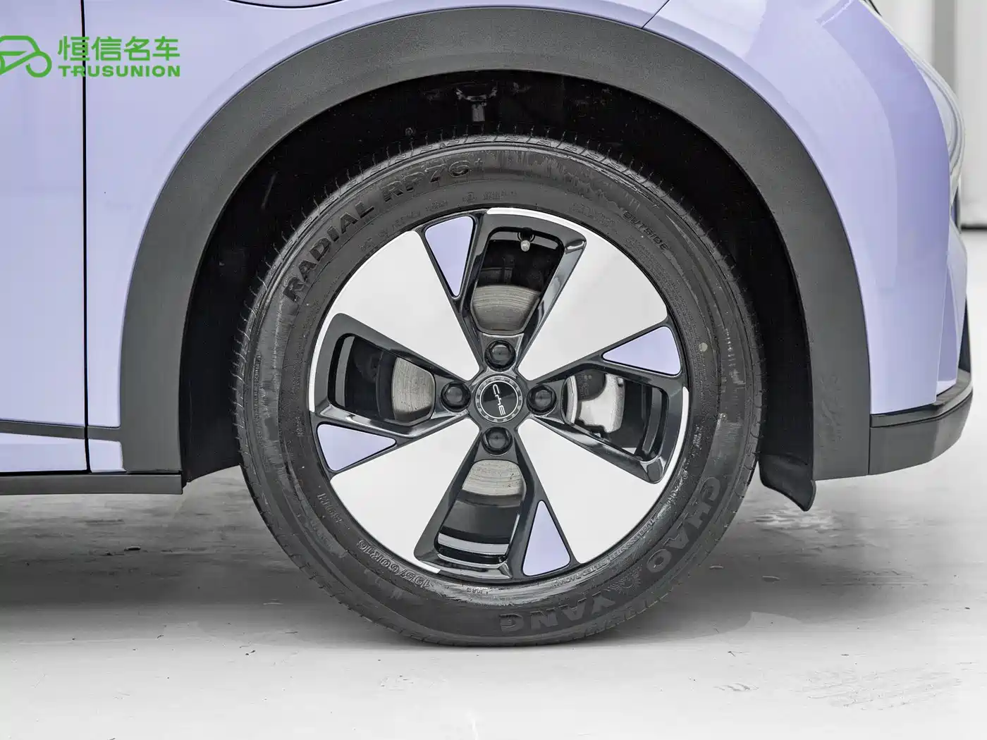BYD Dolphin 2023 420km Fashion Edition фото 11