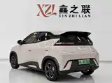 Фото 5 - BYD Seagull