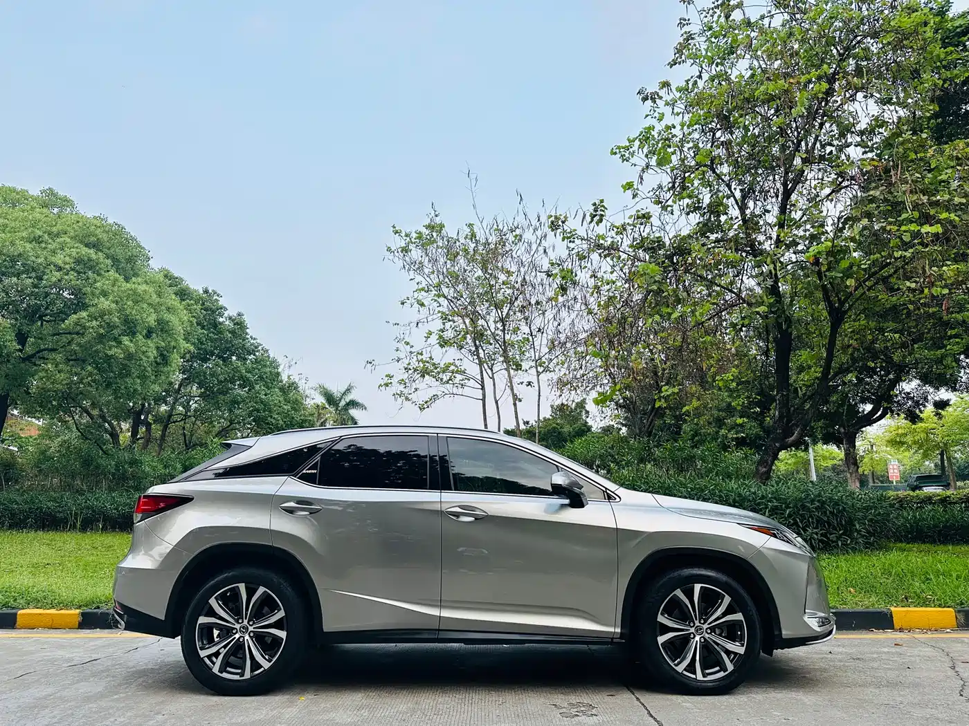 Lexus RX 2020 Facelift 300 AWD Elegance Edition фото 7