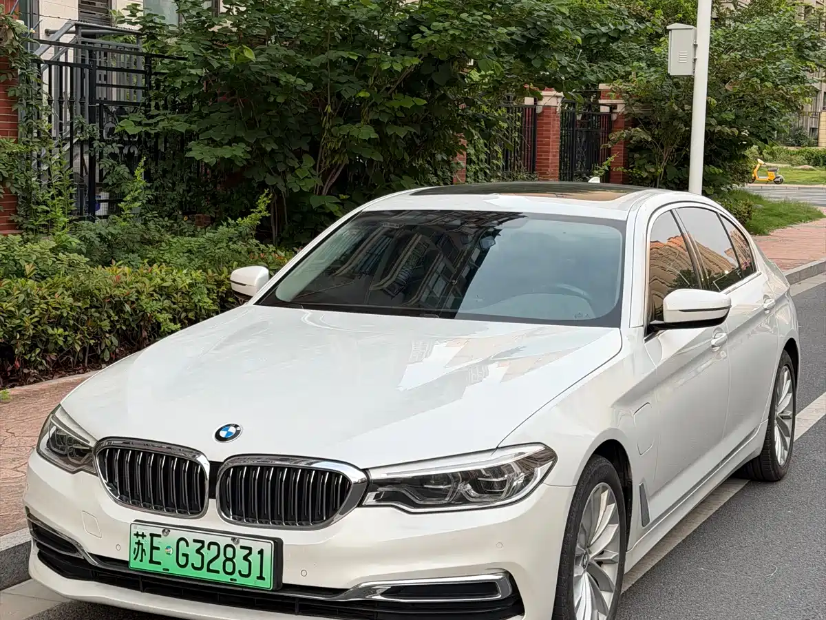 BMW 5 Series New Energy 2020 530Le Luxury Package