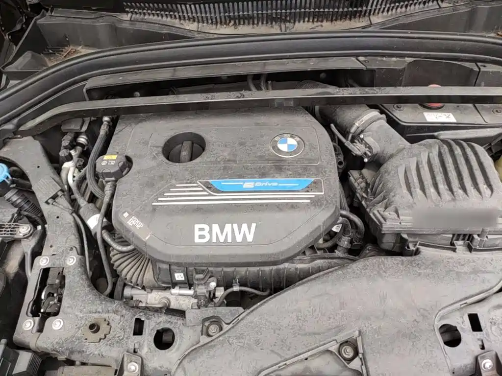 BMW X1 New Energy 2019 xDrive25Le Range Upgrade Edition фото 11