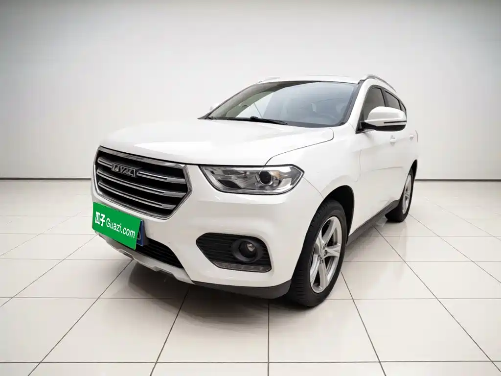 2019 Haval H2