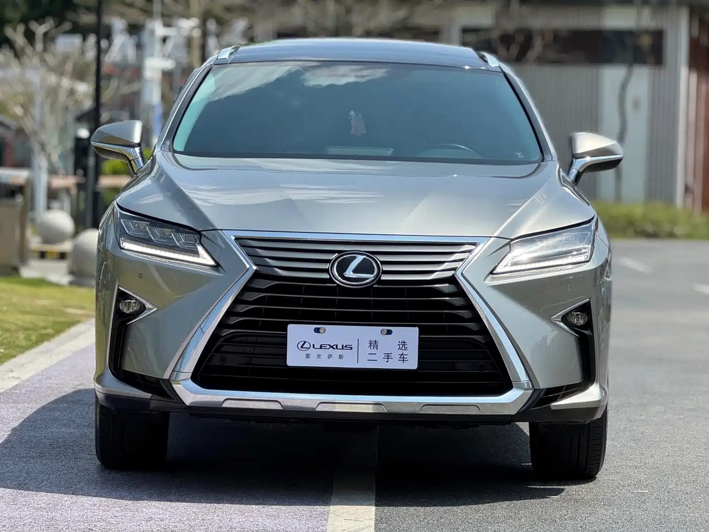 Lexus RX 2016 300 4WD Elegance Edition (China V) фото 2