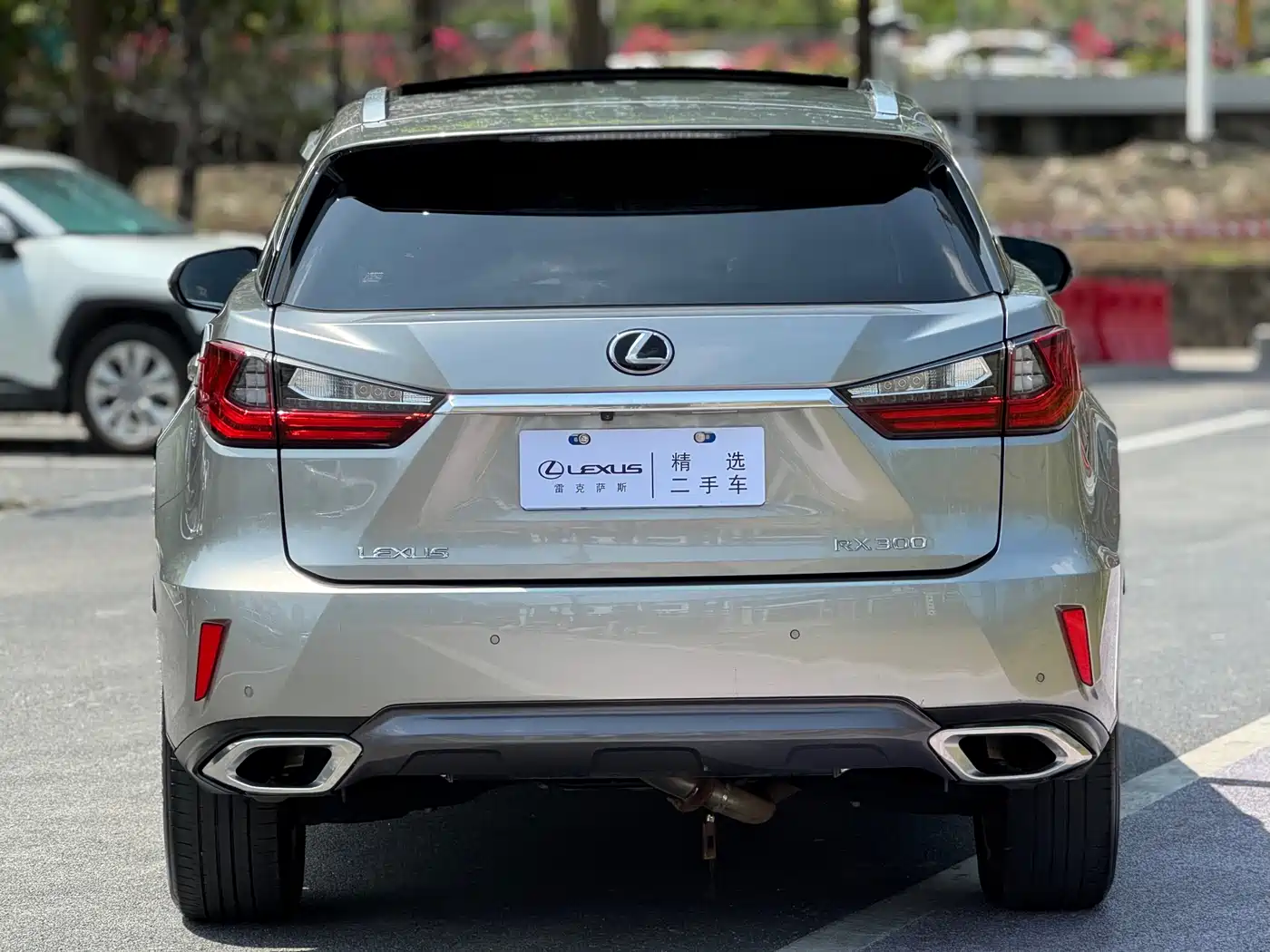Lexus RX 2016 300 4WD Elegance Edition (China V) фото 15