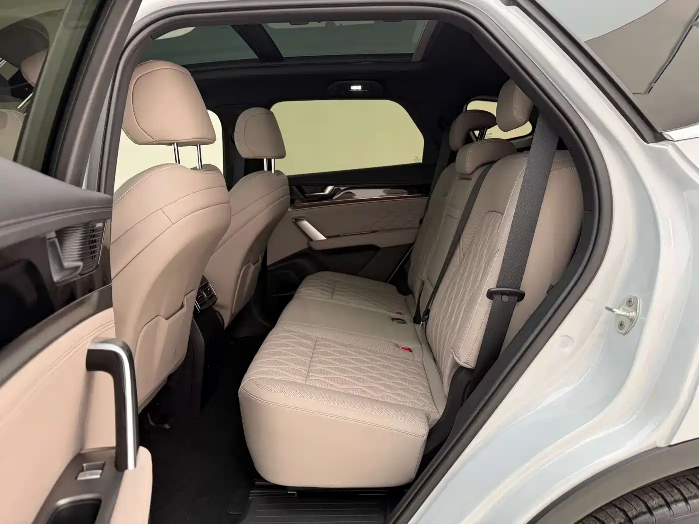 BYD Tang New Energy 2025 DM-i 115KM Prestige Type фото 12