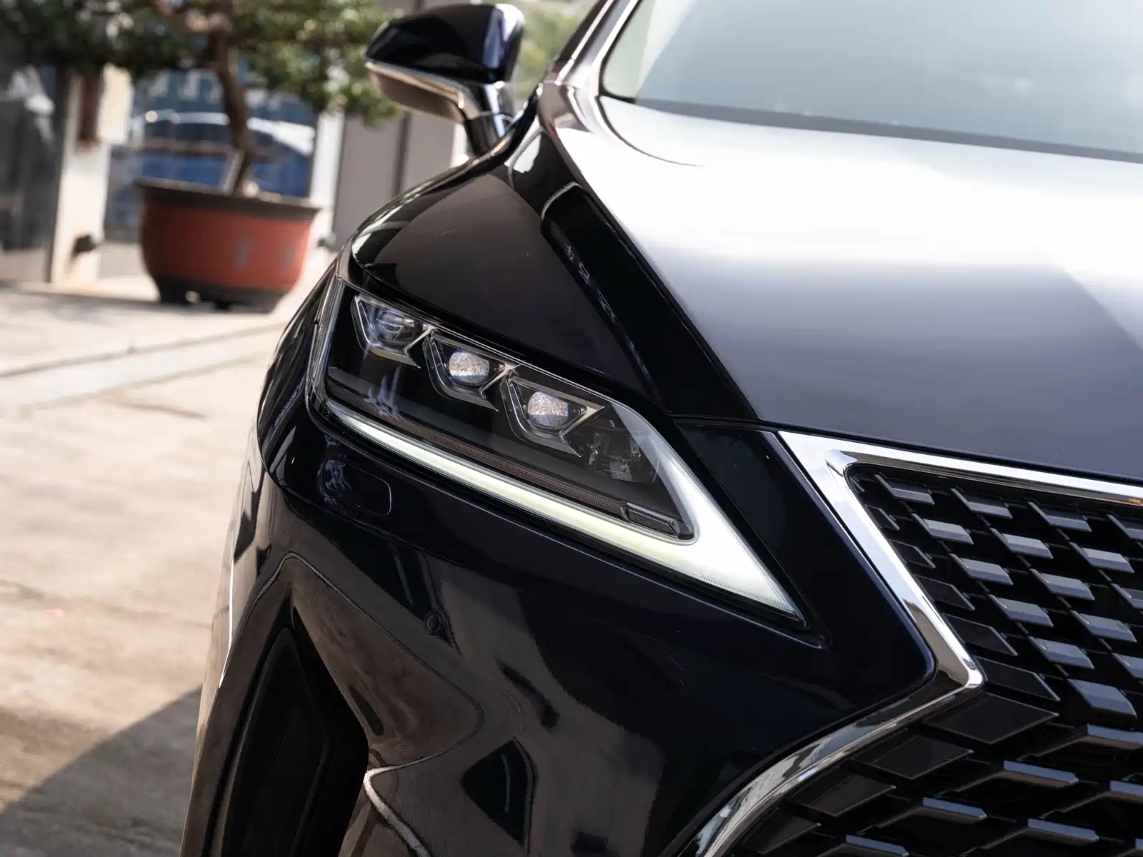 Фото 6 - Lexus RX