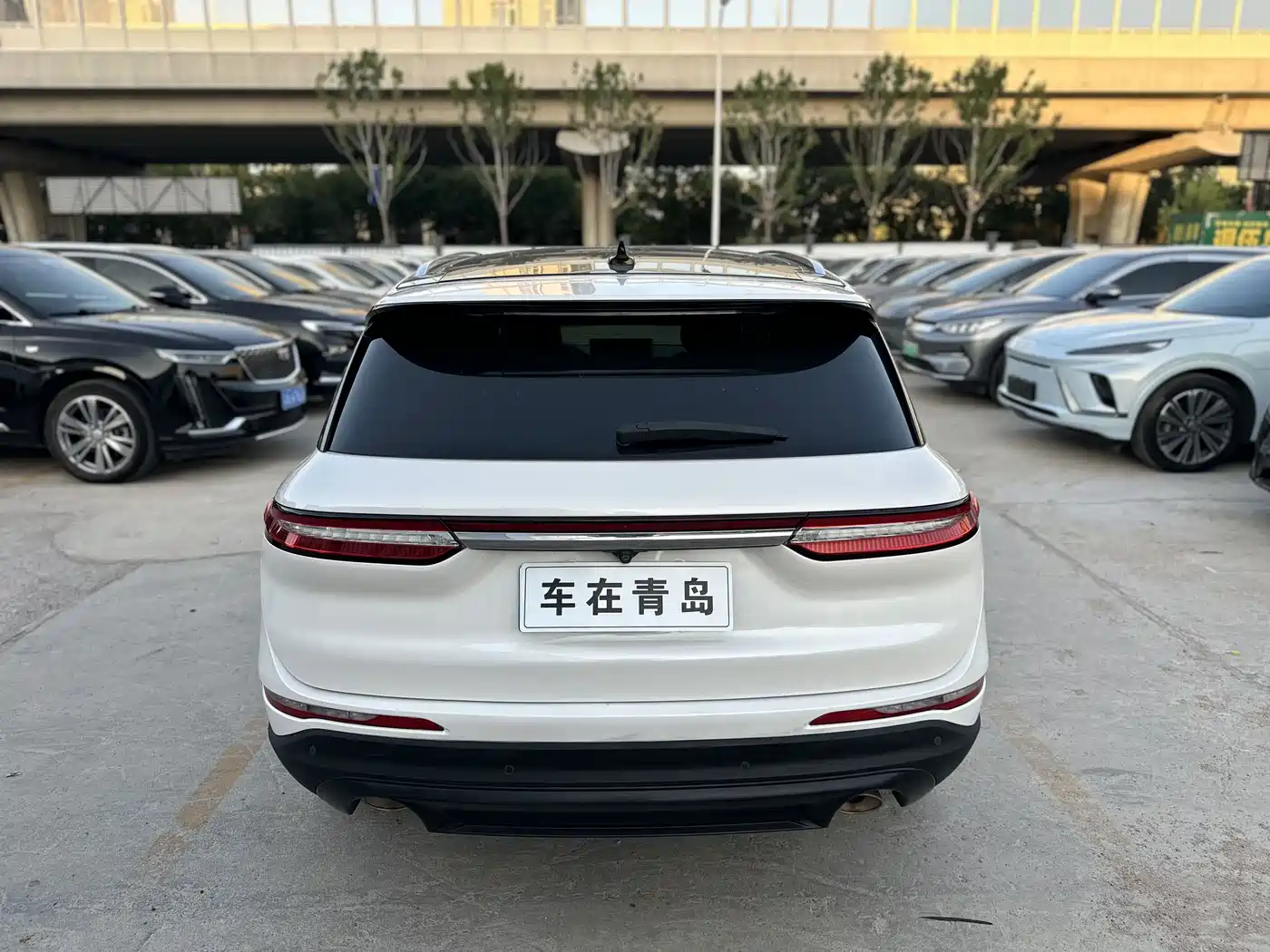 Фото 10 - Lincoln Adventurer