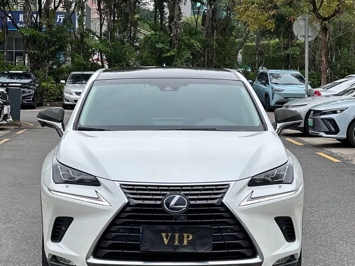 Lexus NX 2018 Model 300h AWD Fengzhi Edition China V
