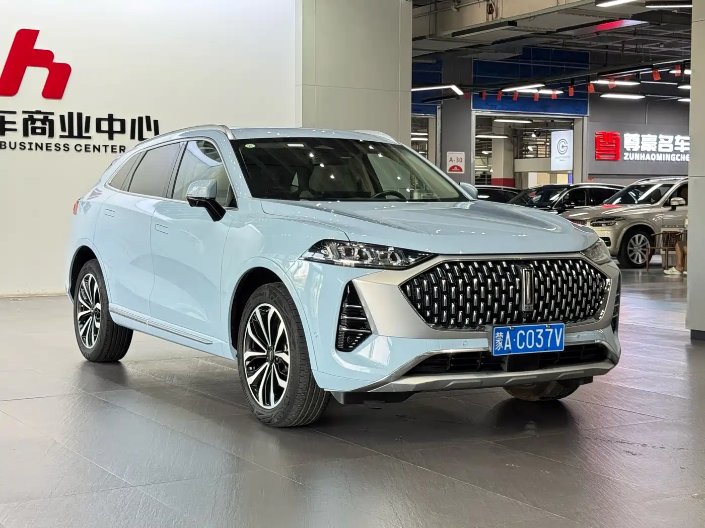 WEY Mocha 2021 2021 2.0T 4WD Premium Edition