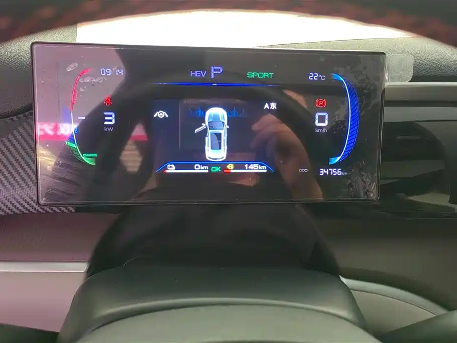 BYD Song Pro New Energy 2022 DM-i 51km Premium фото 14