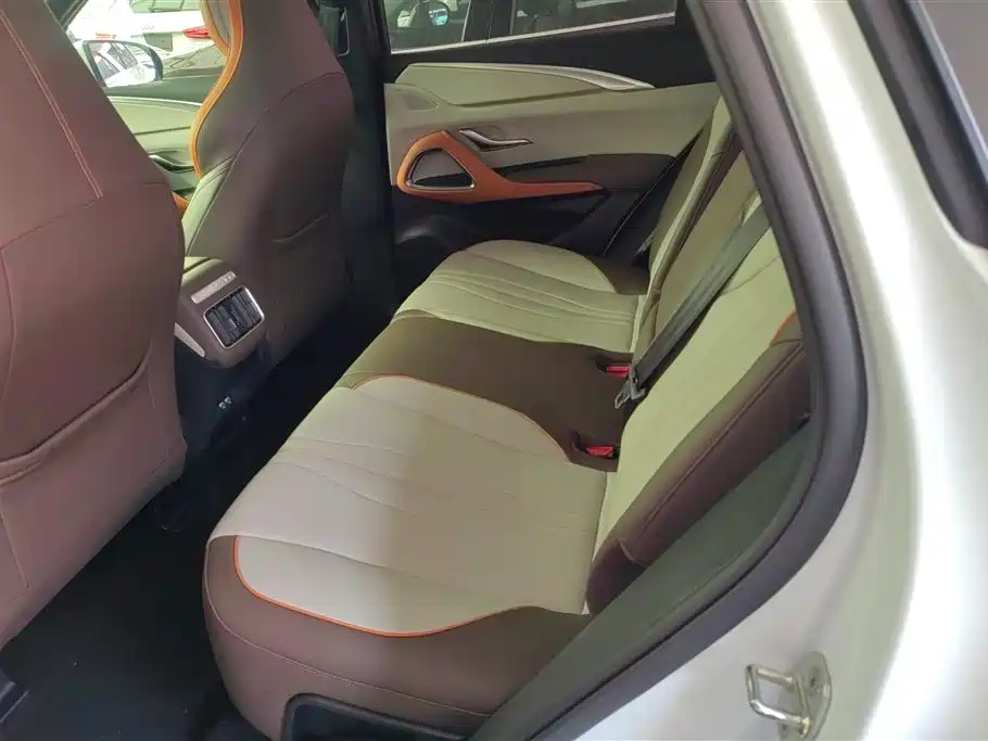 BYD Song Pro New Energy 2022 DM-i 51km Premium фото 11