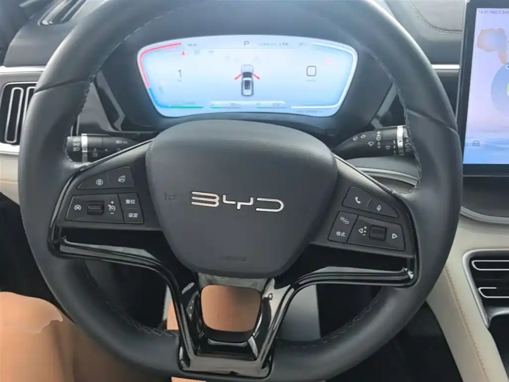BYD Song PLUS PHEV 2024 Glory Edition DM-i 110km Flagship фото 11
