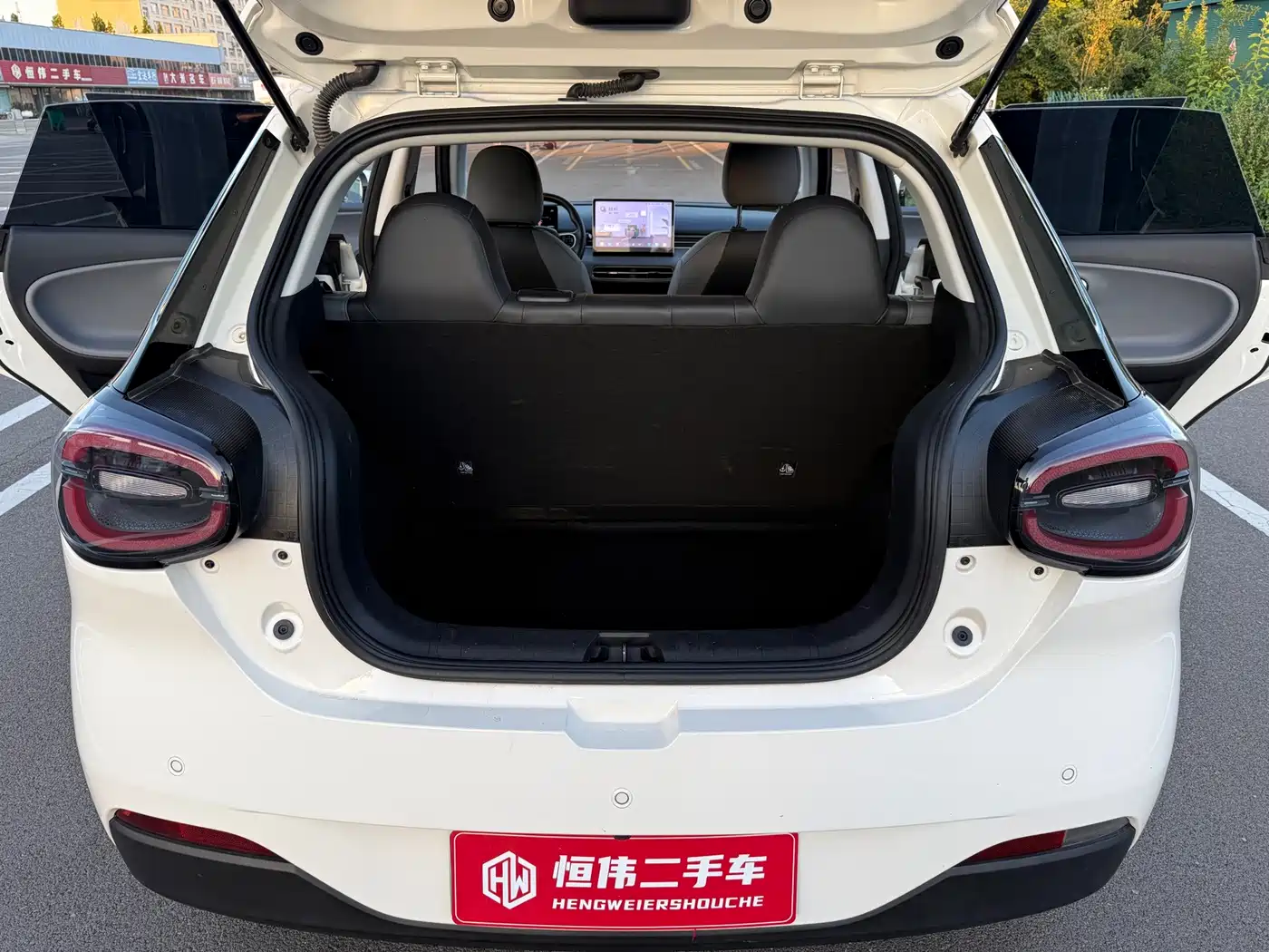 Dongfeng Yipai Nano 01 2025 2024 330 Air