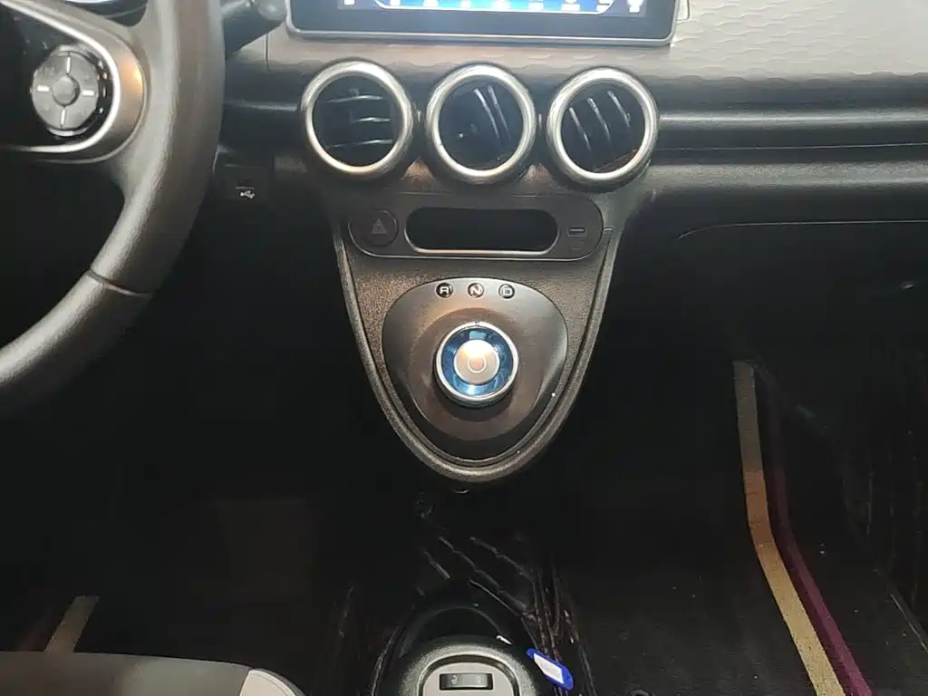Ora Black Cat 2021 2021 301km Pet Edition