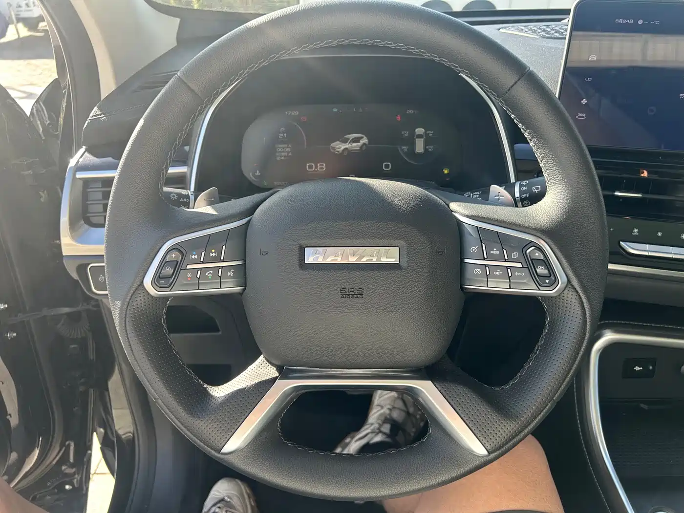 Haval H6 2024 2023 National Trend Edition 1.5T Automatic Champion