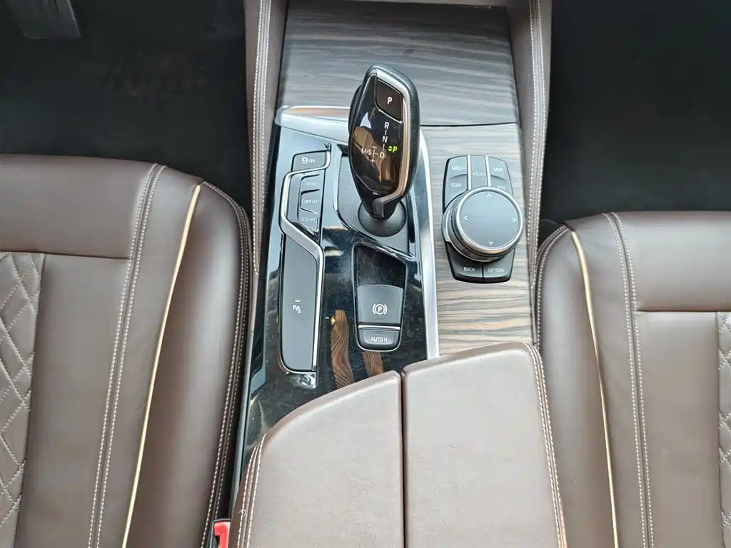 BMW 5 Series 2020 530Li Leading Luxury Package фото 9