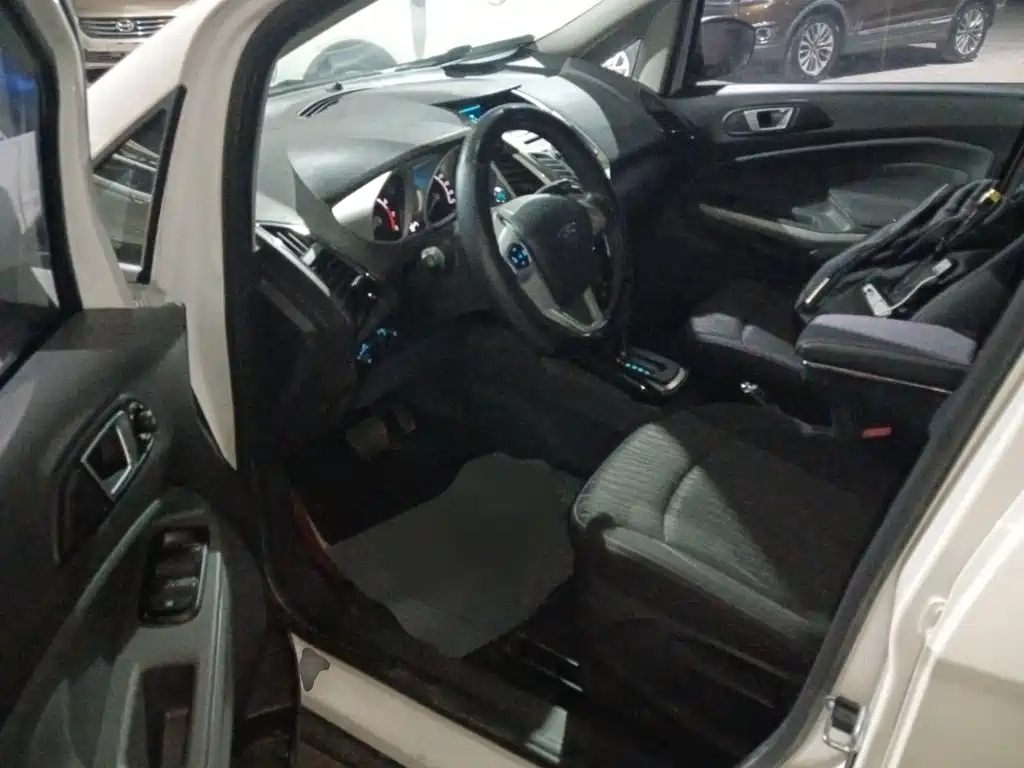 Фото 13 - Ford EcoSport