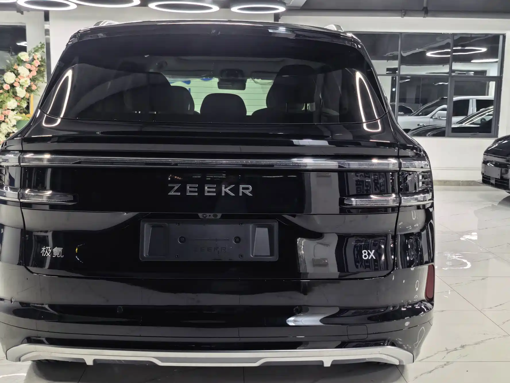 Фото 4 - ZEEKR 8X
