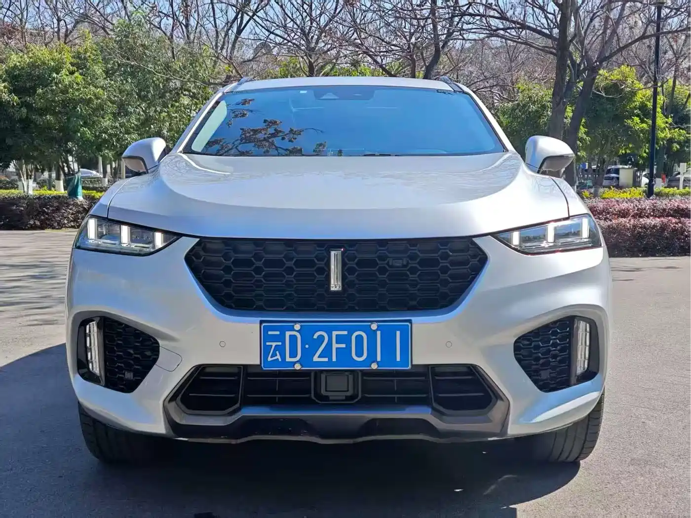 WEY VV7 2017 2017 2.0T Flagship