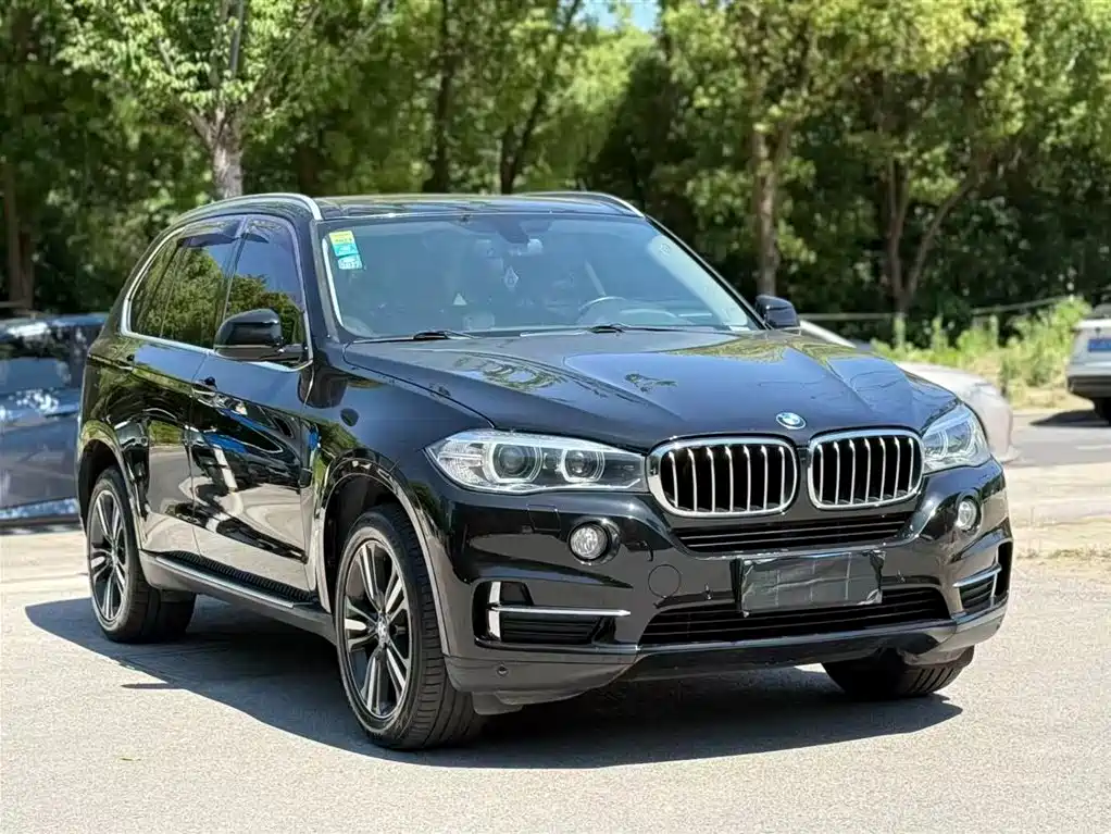 BMW X5 (Import) 2017 xDrive35i Elegance фото 3