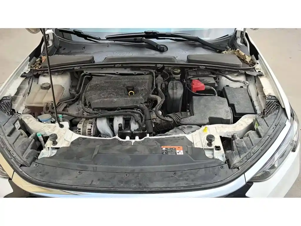 Ford Escort 2022 2021 1.5L Automatic Diamond Edition