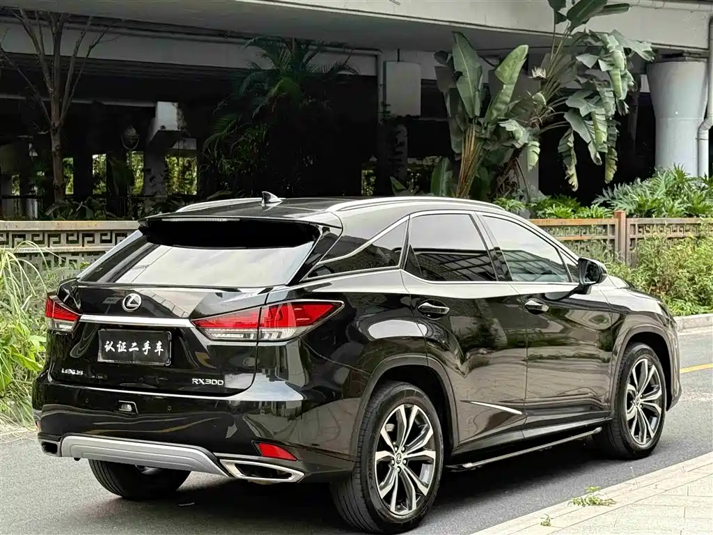 Lexus RX 2020 300 4WD Elegance Edition China VI фото 4