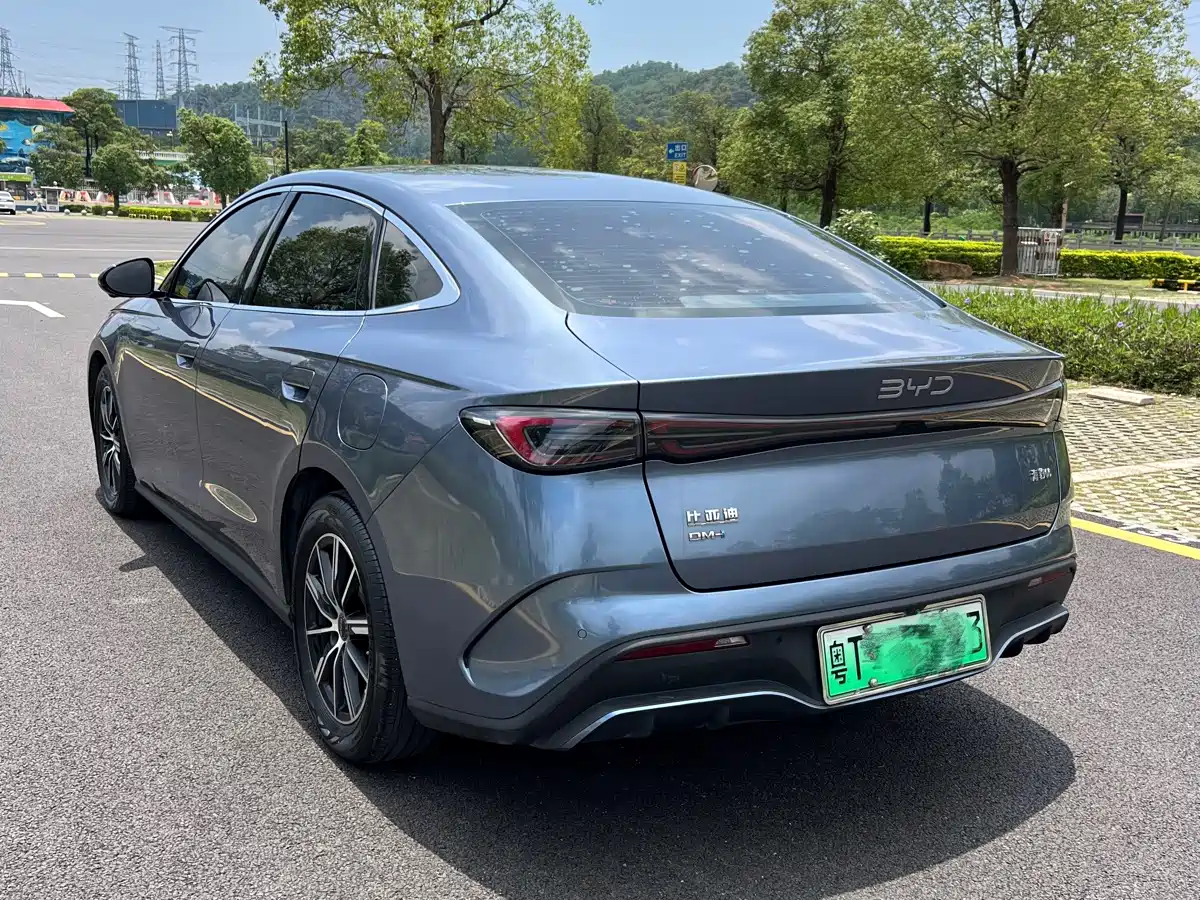 BYD Seal 06 New Energy 2024 DM-i 80KM Prestige фото 3