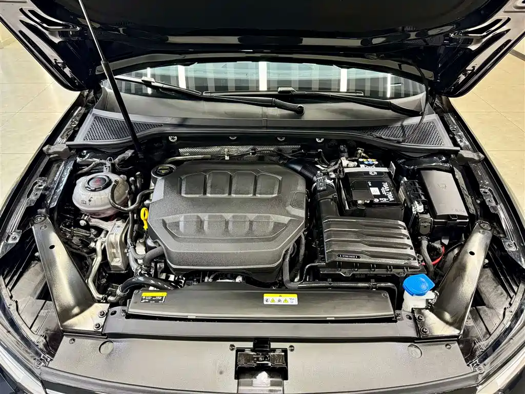 Volkswagen Magotan 2025 Popular Edition 330TSI DSG Luxury фото 11