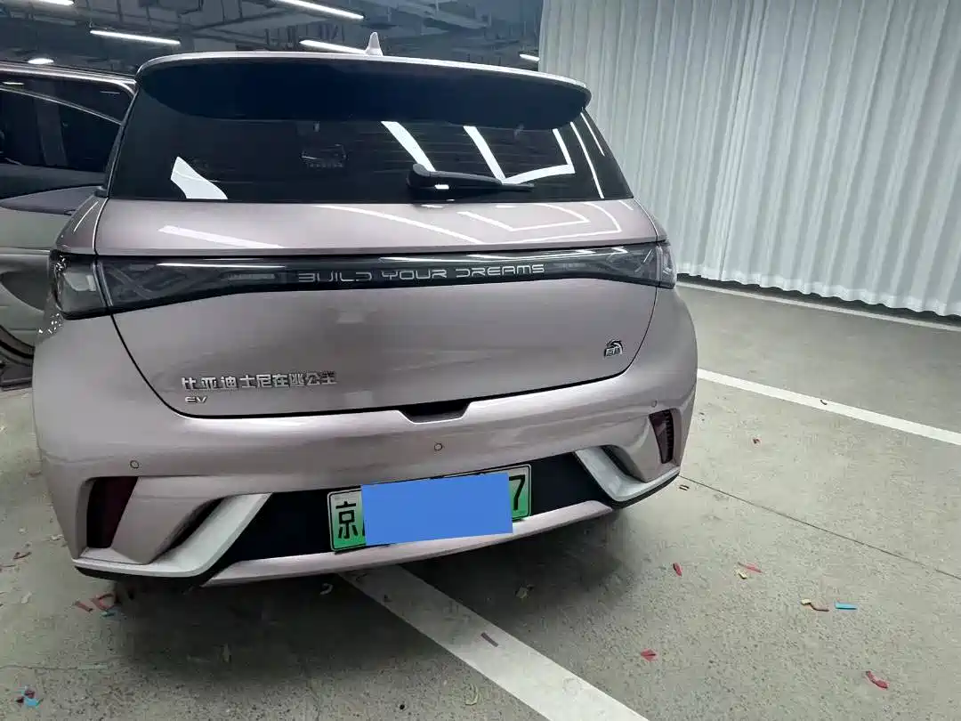 BYD Dolphin 2023 420km Fashion Edition фото 3