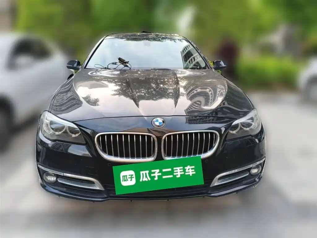 BMW 5 Series 2014 525Li Leading фото 24