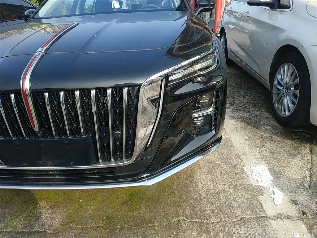 Hongqi H5 2024 2.0T Automatic Smart Connect Flag Smooth Edition фото 18