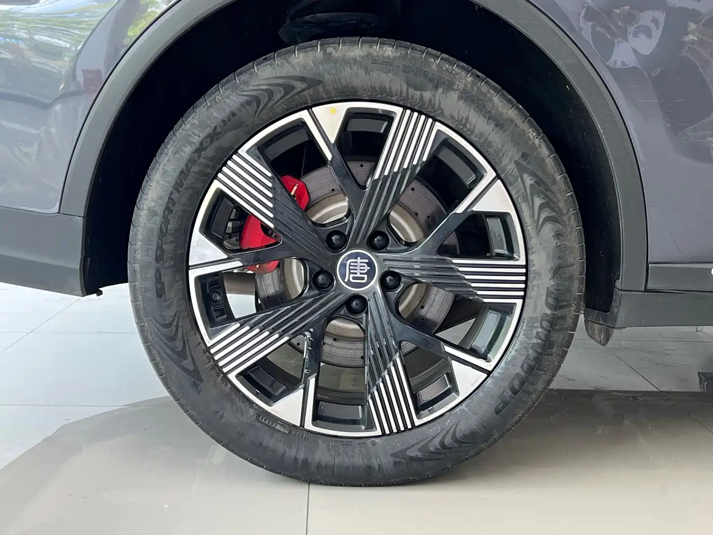 BYD Tang New Energy 2024 DM-p Champion Edition 215KM AWD Flagship фото 11