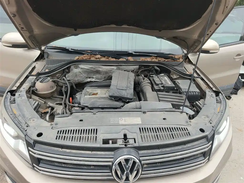 Volkswagen Tiguan 2013 1.8TSI Auto 2WD Trend Edition фото 20