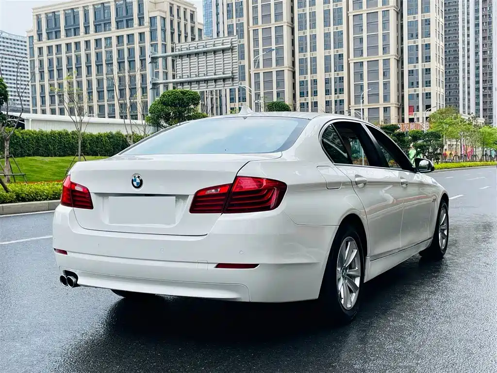 BMW 5 Series 2014 520Li Elegance фото 4