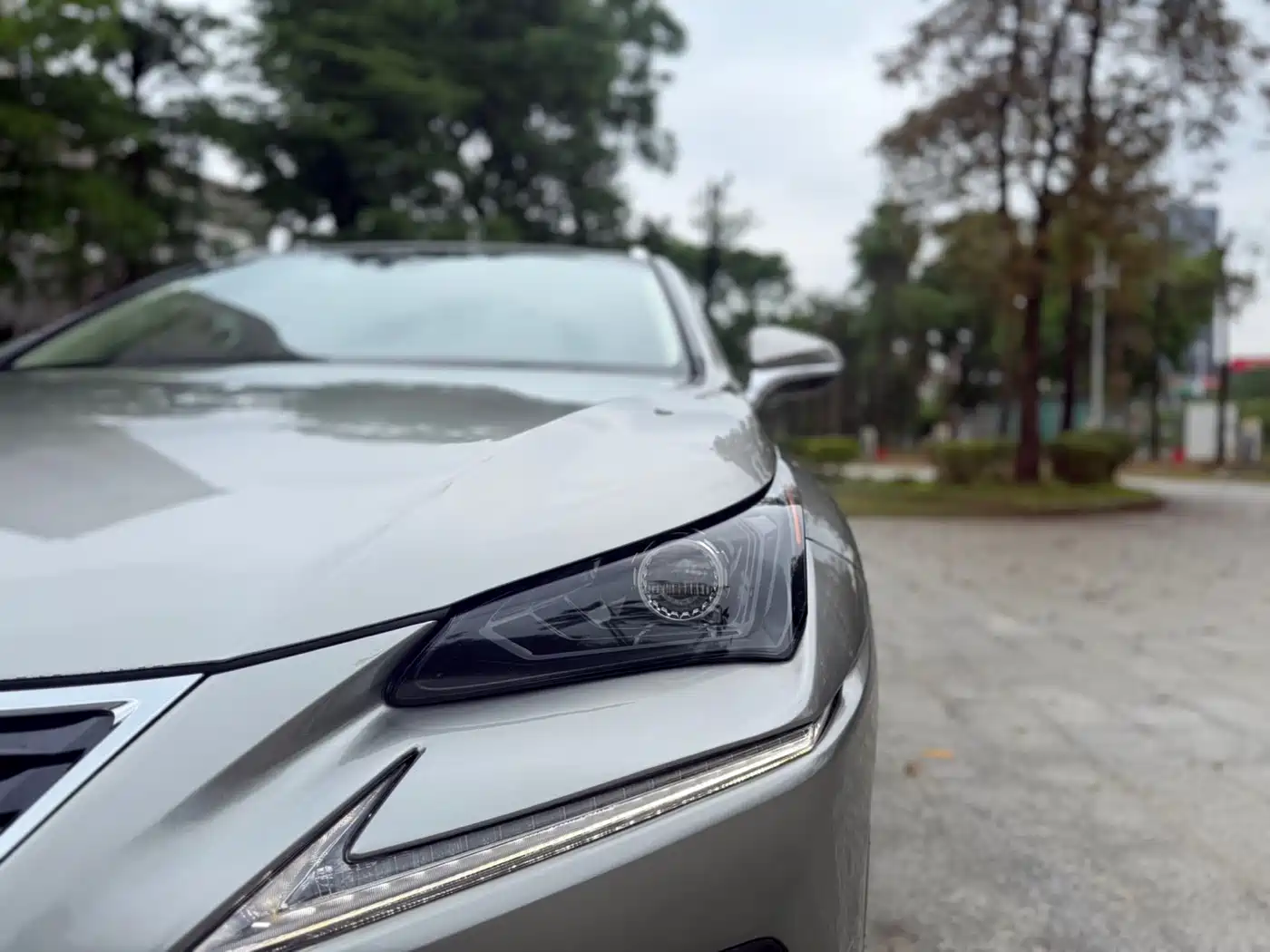 Lexus NX 2018 Model 300h FWD Fengshang Edition China V фото 15