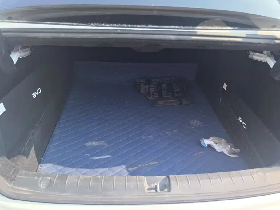 BYD Qin PLUS 2021 2021 DM-i 55KM Flagship