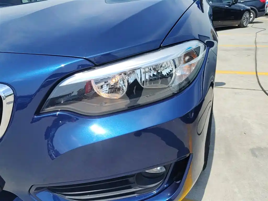 BMW 2 Series (Import) 2015 218i фото 24