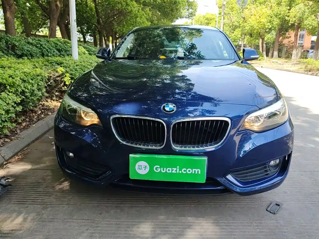 BMW 2 Series (Import) 2015 218i фото 3