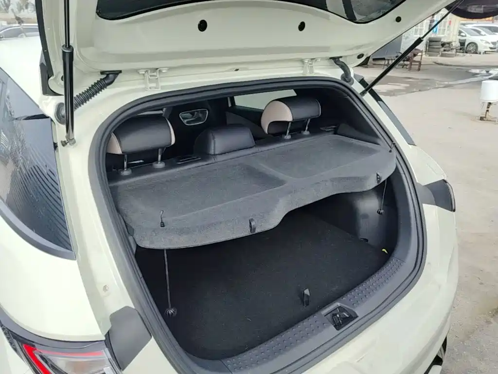 BYD Dolphin 2026 2025 420km Freedom Edition