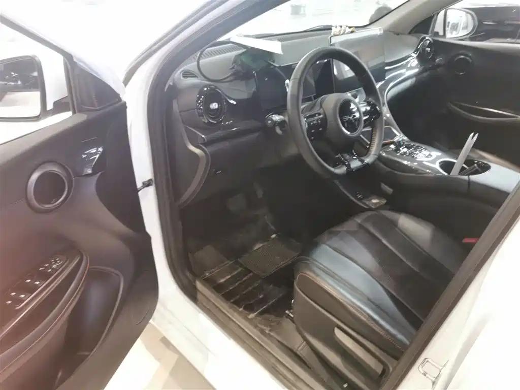 BYD E2