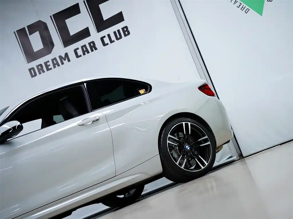 BMW M2 2018 M2 Thunder Edition фото 21