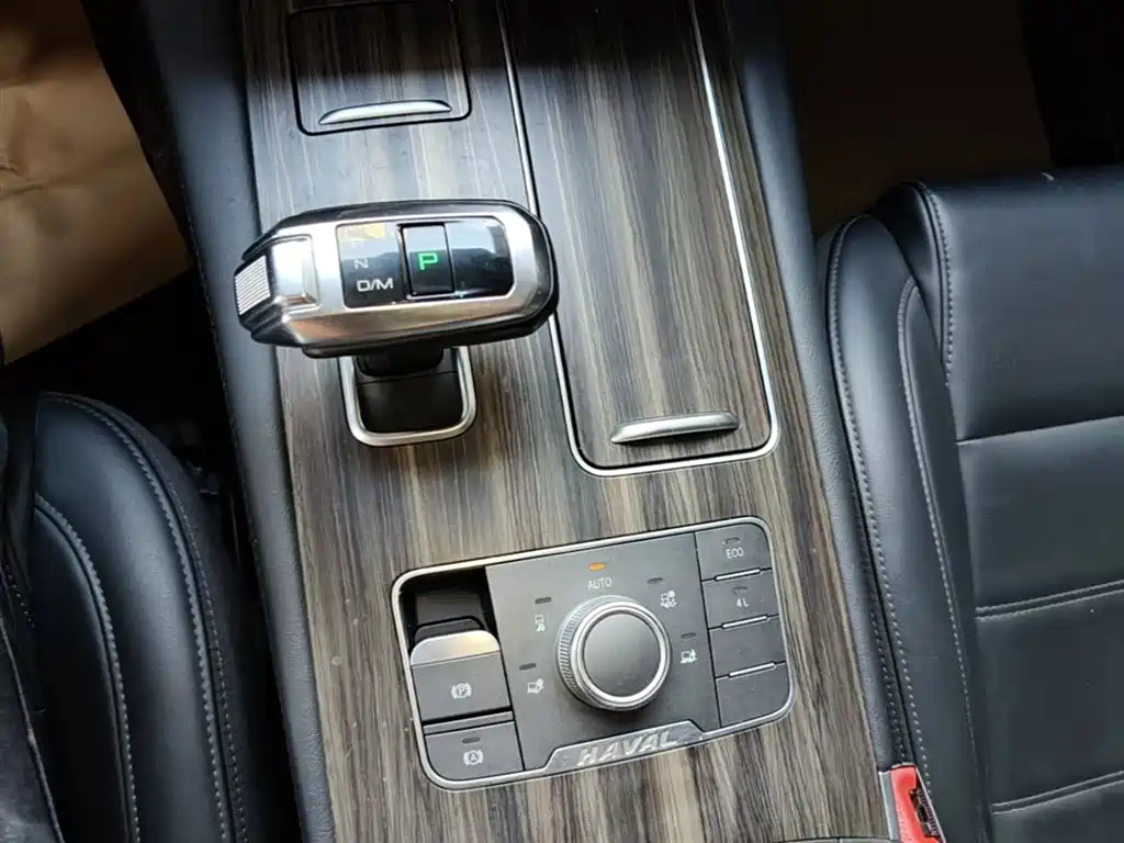 Haval H9 2020 2.0T Gasoline 4WD Elite 5-Seater фото 14