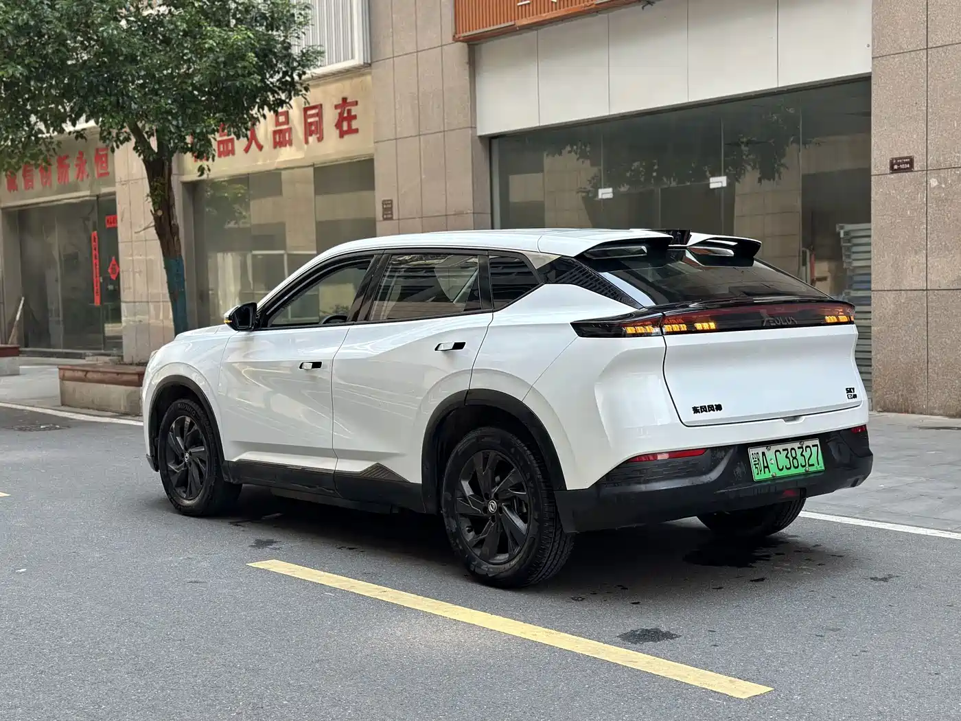 Dongfeng Aeolus SKY EV01 2024 2023 Model 445km PRO