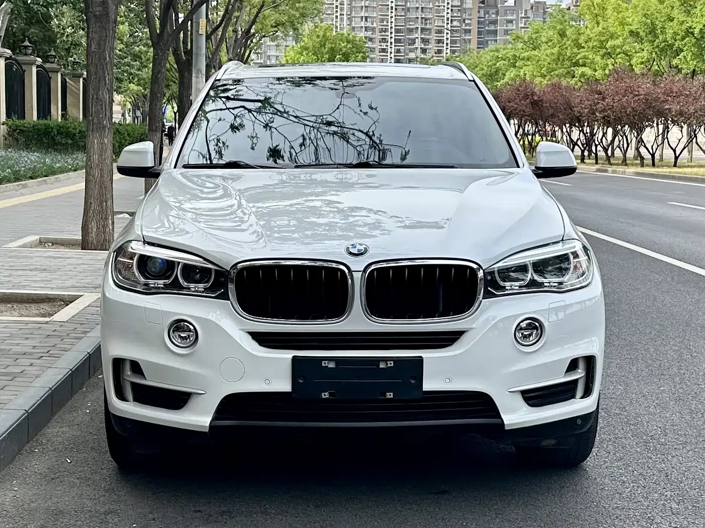BMW X5 (Import) 2014 xDrive35i Leading фото 2