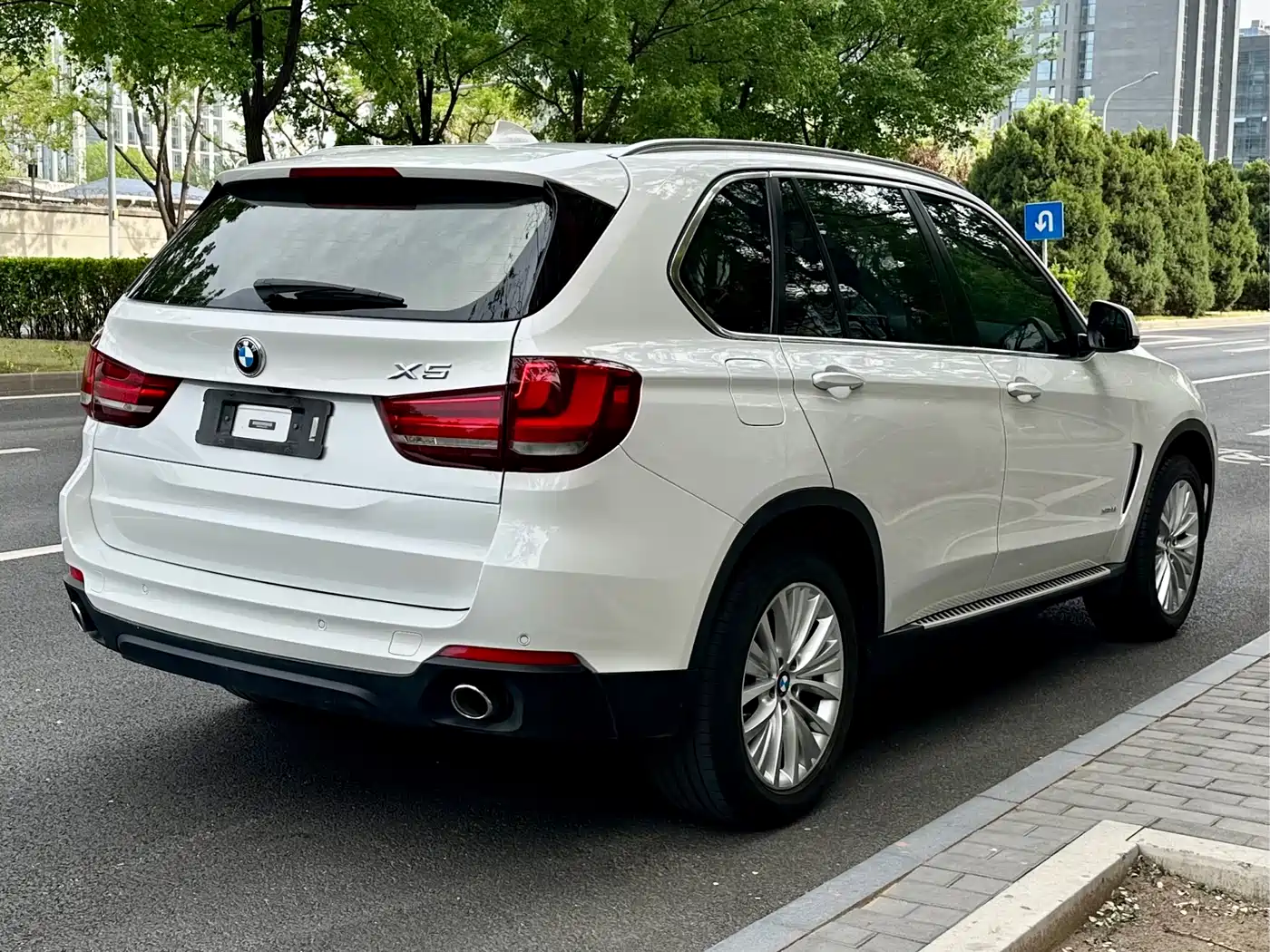 BMW X5 (Import) 2014 xDrive35i Leading фото 5