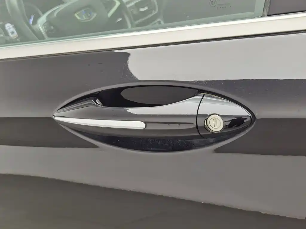 Photo 18 - Geely Borui