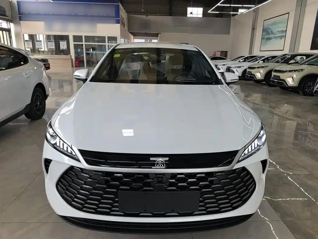 BYD Qin PLUS 2026 DM-i Smart Edition 128KM Progressive фото 3