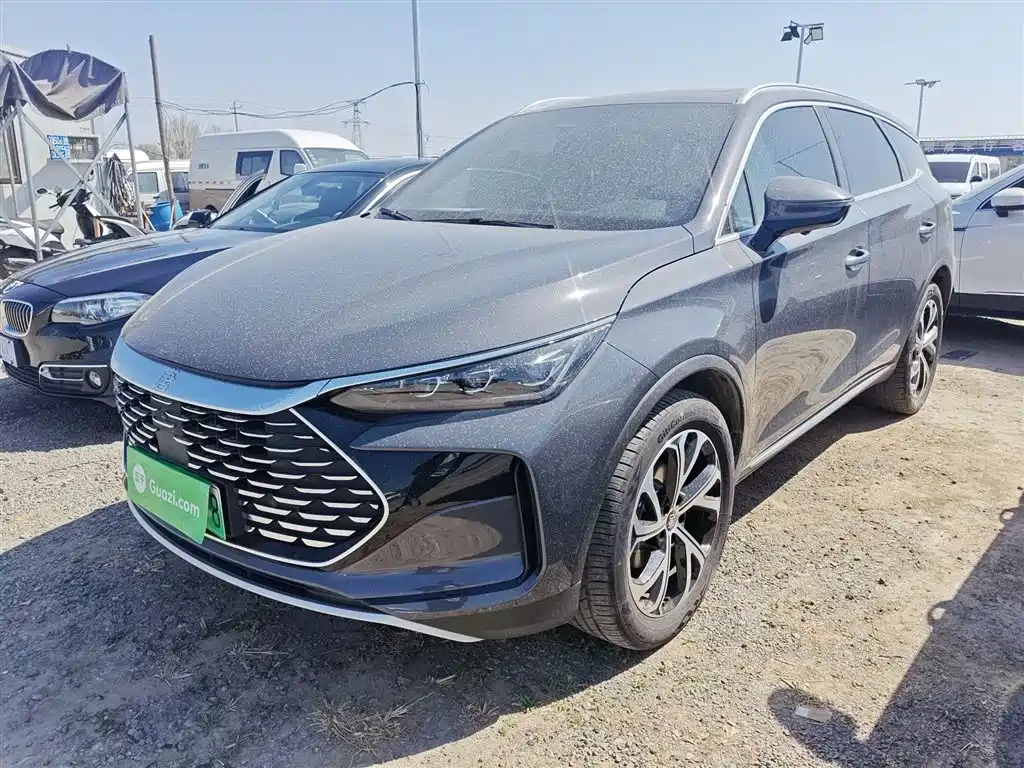 BYD Tang New Energy 2025 DM-i 115KM Prestige Type